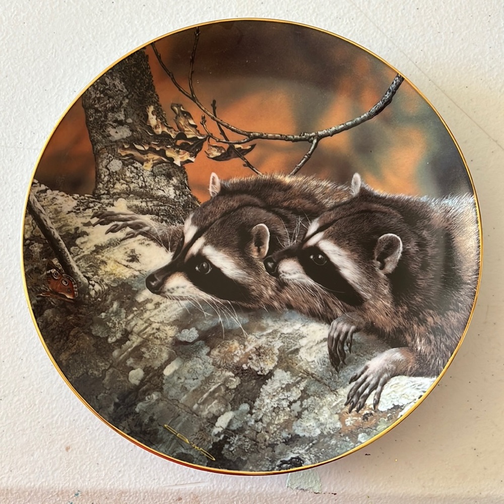 China Plate